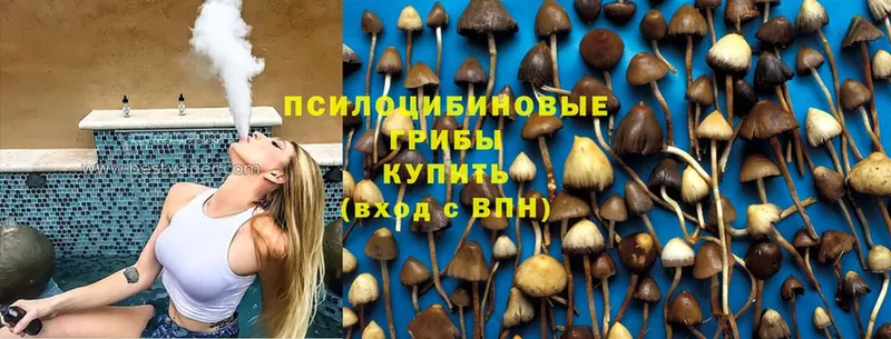 Псилоцибиновые грибы MAGIC MUSHROOMS Гороховец